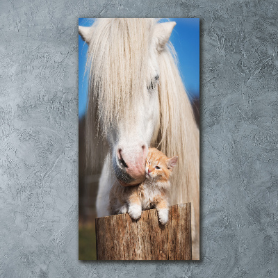 Tableau verre acrylique Cheval blanc avec chat