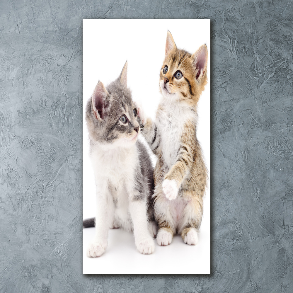 Tableau sur verre acrylique Deux petits chats