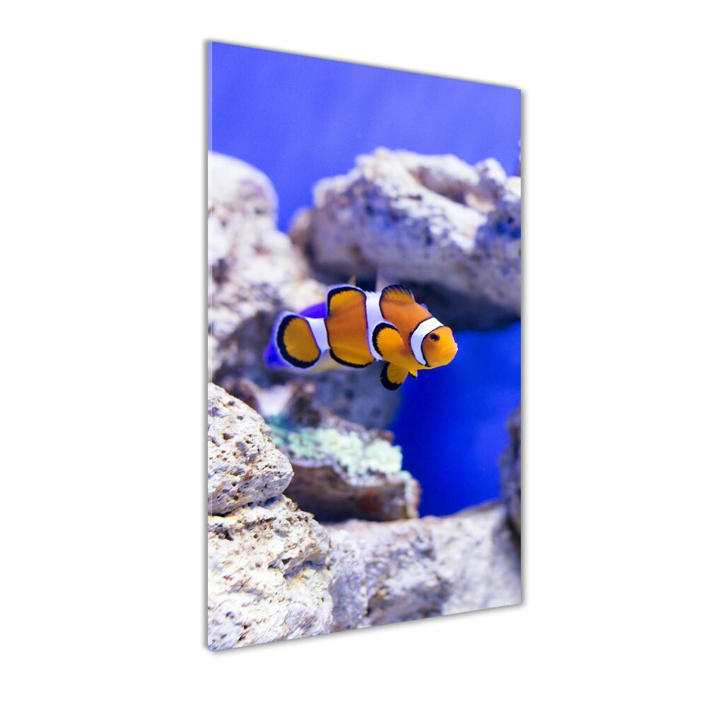 Acrylique tableau Poisson Nemo