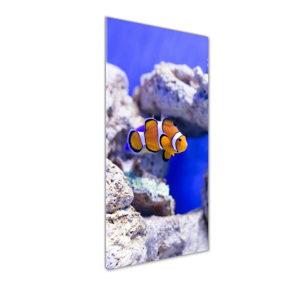 Acrylique tableau Poisson Nemo