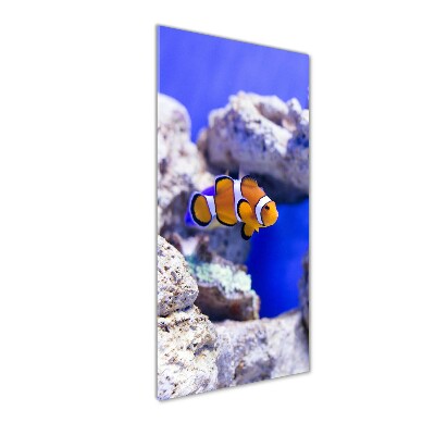 Acrylique tableau Poisson Nemo