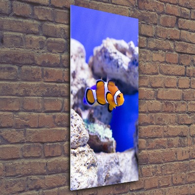 Acrylique tableau Poisson Nemo