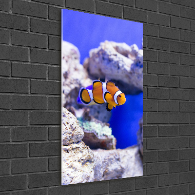 Acrylique tableau Poisson Nemo