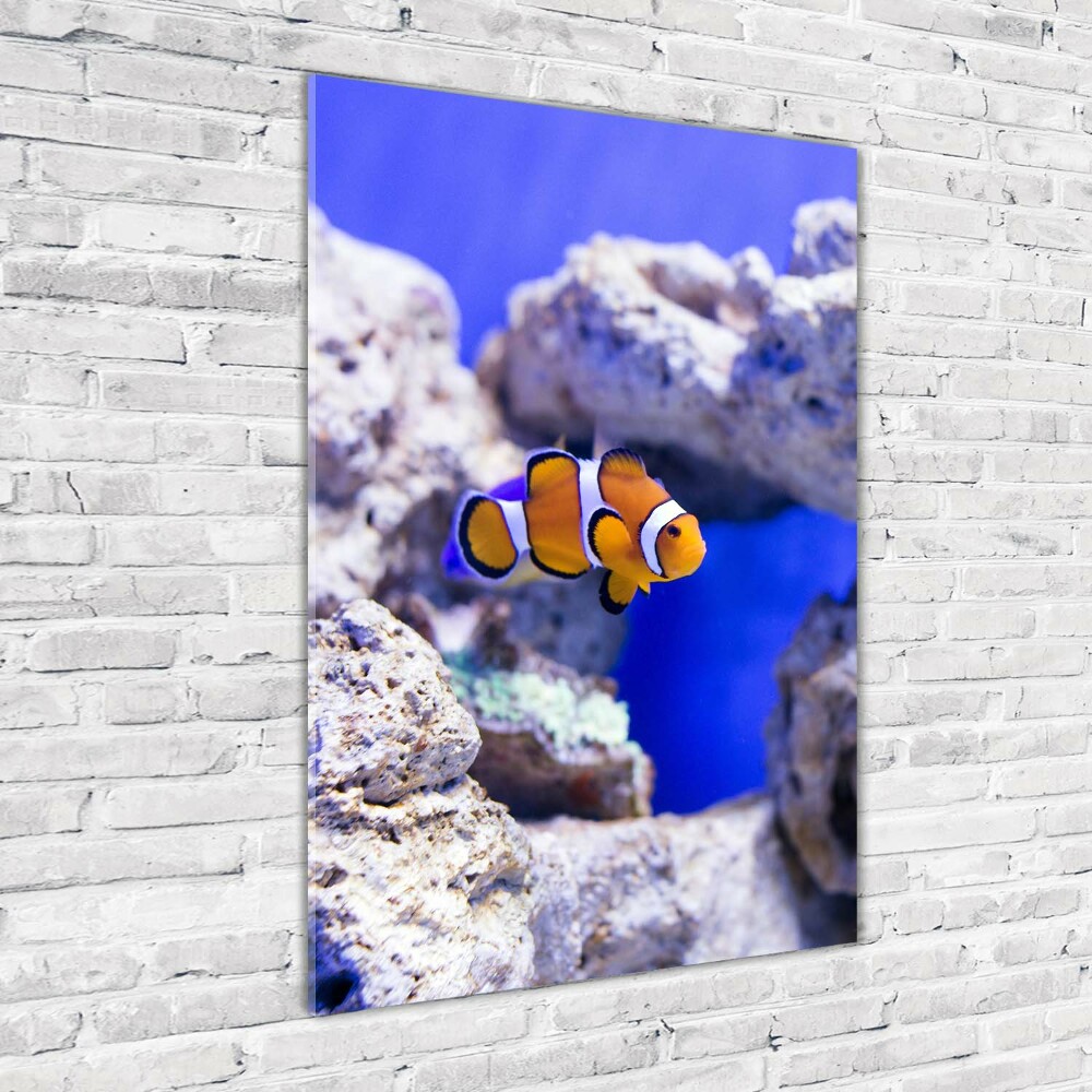 Acrylique tableau Poisson Nemo