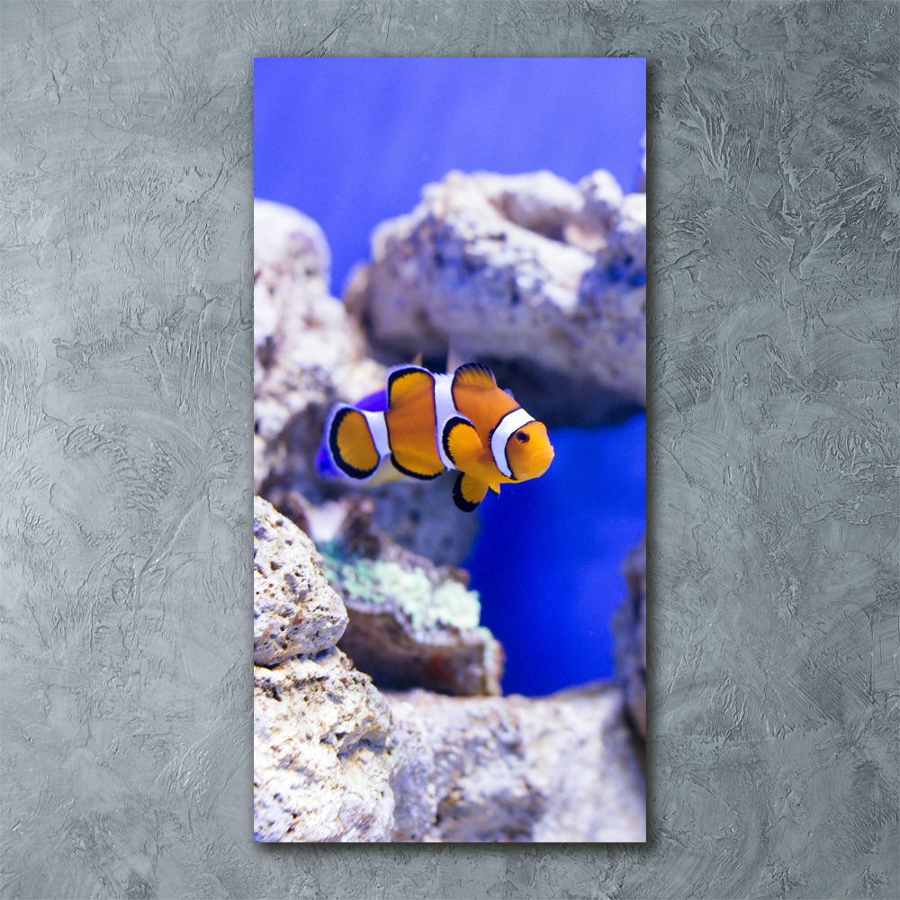 Acrylique tableau Poisson Nemo