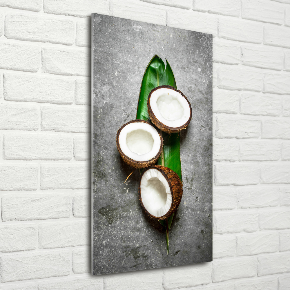 Tableau sur verre acrylique Noix de coco sur une feuille