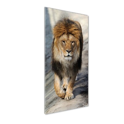 Tableau sur verre acrylique Lion