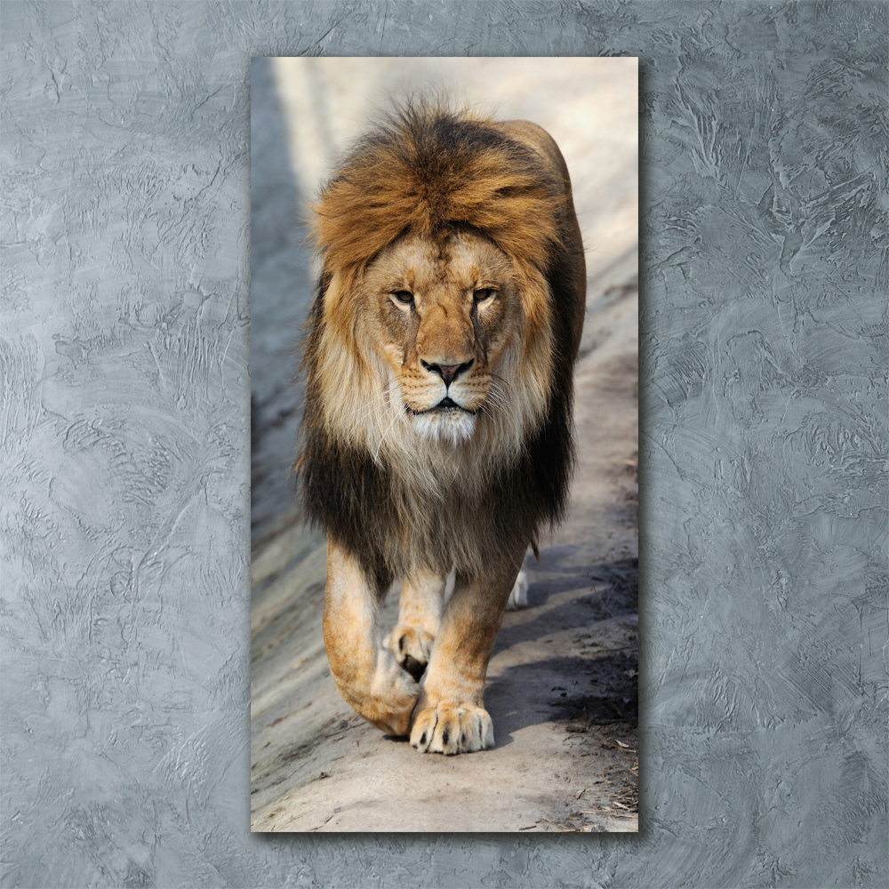 Tableau sur verre acrylique Lion