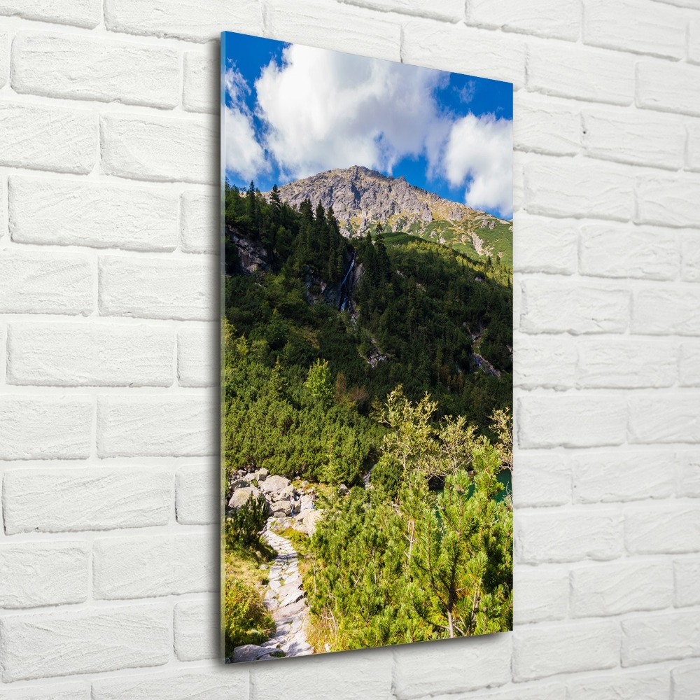 Acrylique tableau Regard sur la mer dans les Tatras