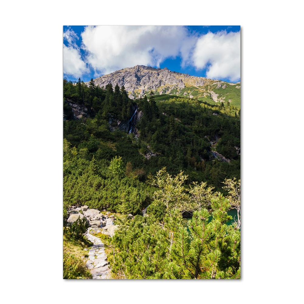 Acrylique tableau Regard sur la mer dans les Tatras