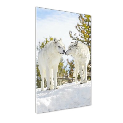 Tableau sur verre acrylique Deux loups blancs