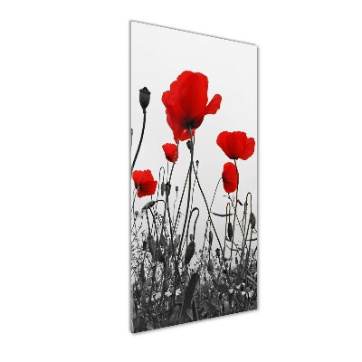 Tableau en acrylique Coquelicots rouges