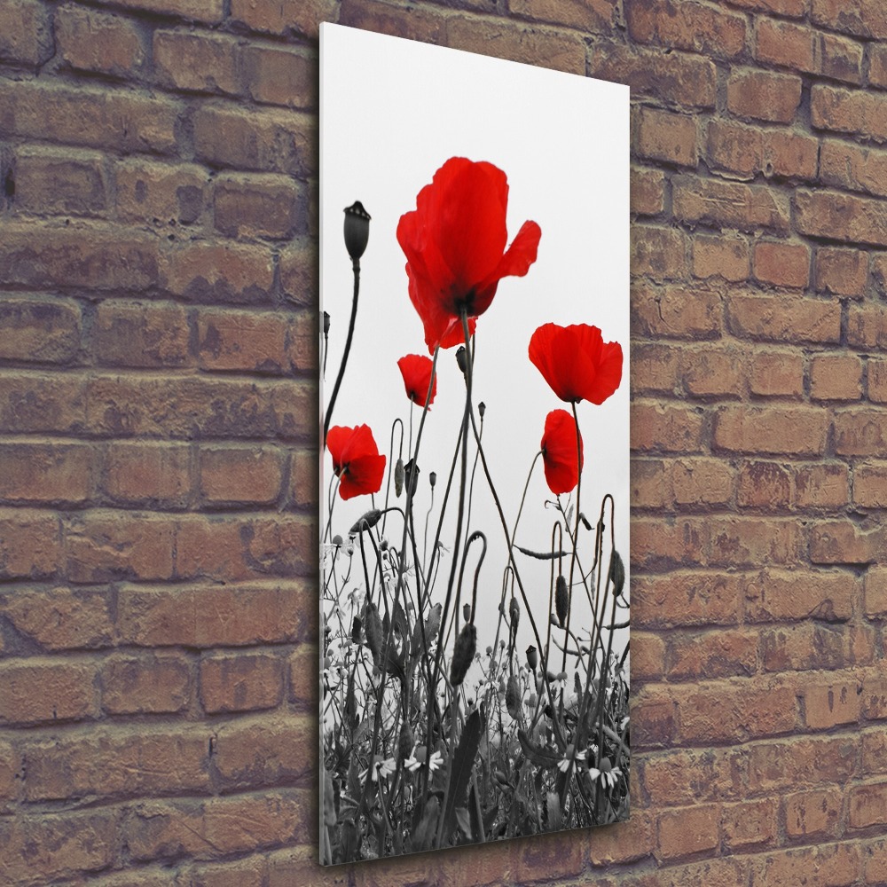 Tableau en acrylique Coquelicots rouges