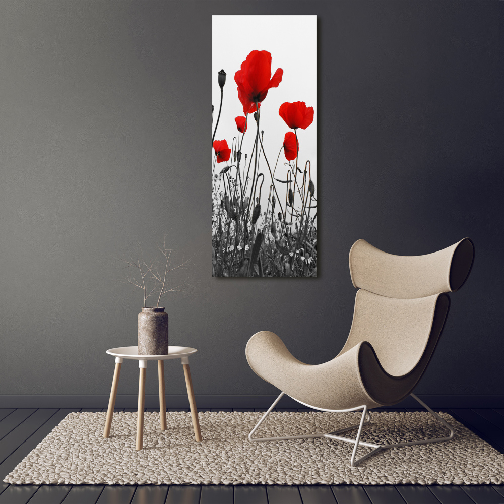 Tableau en acrylique Coquelicots rouges