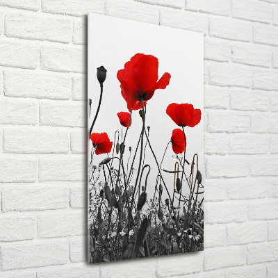 Tableau en acrylique Coquelicots rouges