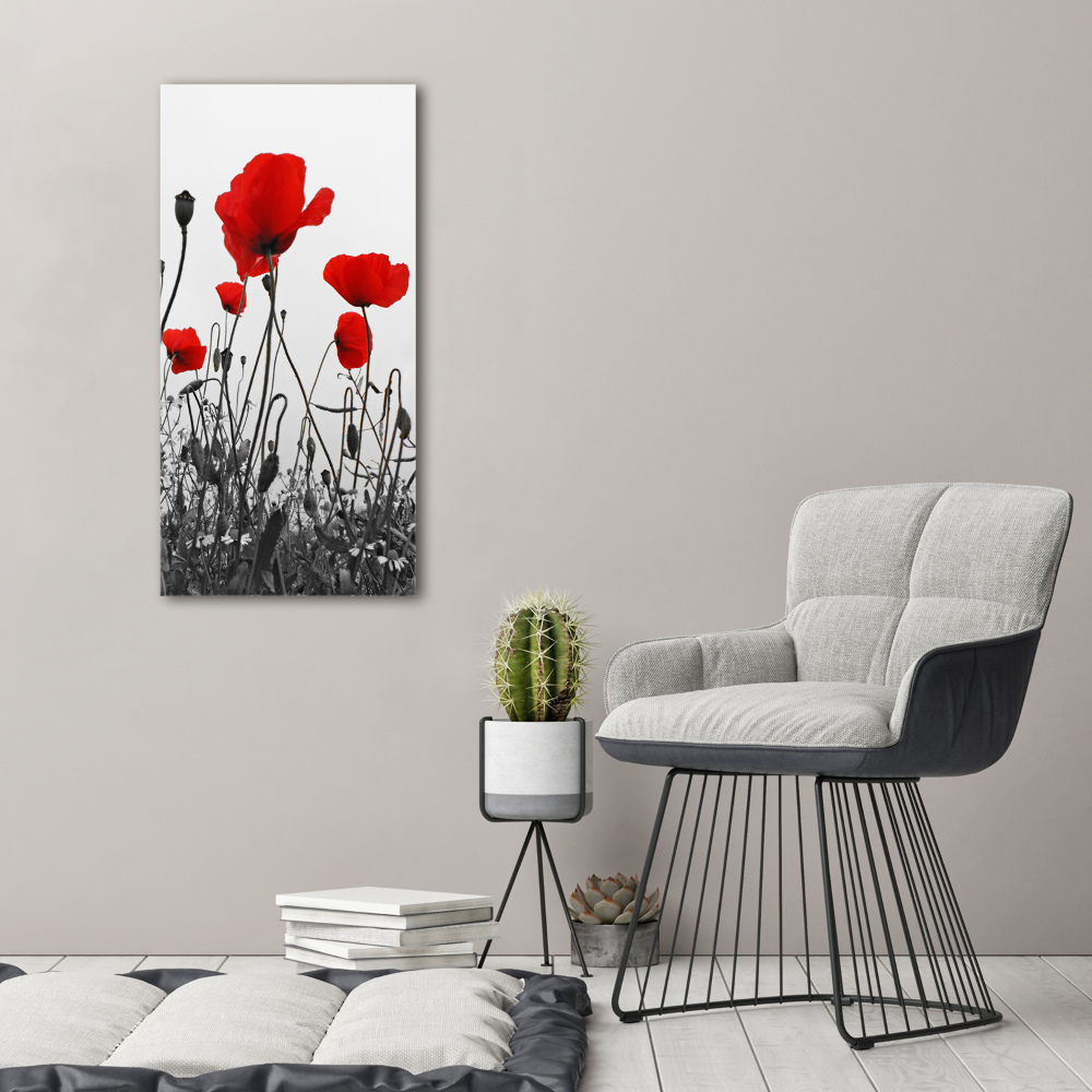 Tableau en acrylique Coquelicots rouges