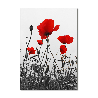 Tableau en acrylique Coquelicots rouges