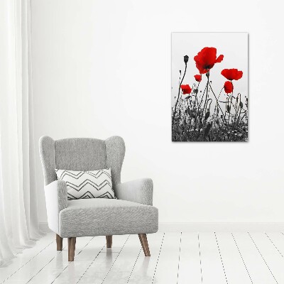 Tableau en acrylique Coquelicots rouges