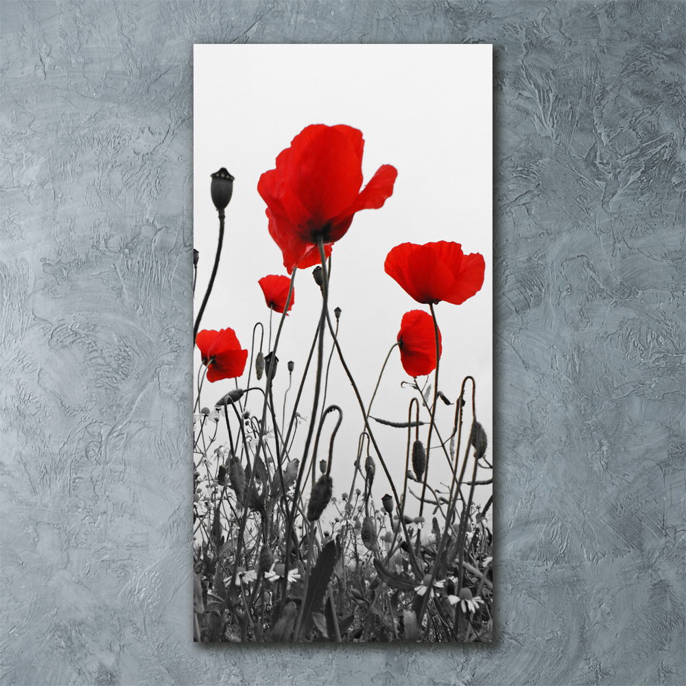 Tableau en acrylique Coquelicots rouges