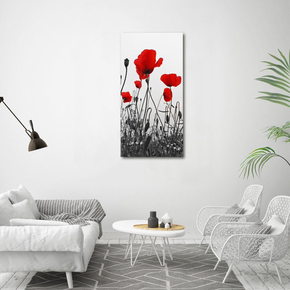 Tableau en acrylique Coquelicots rouges