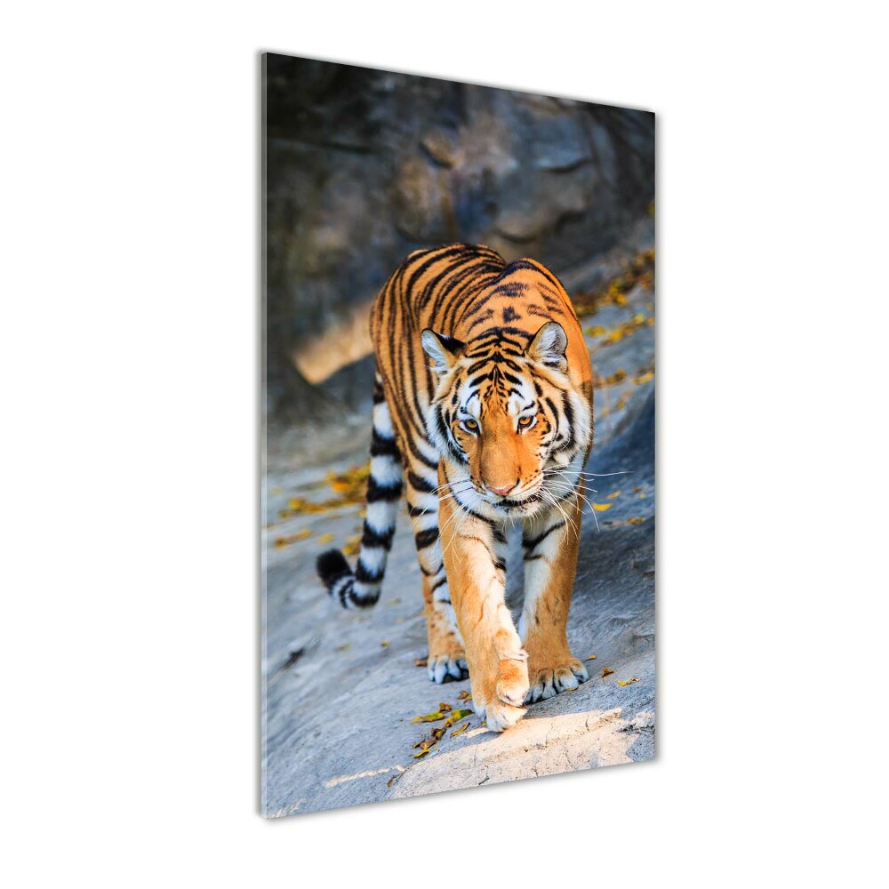 Tableau verre acrylique Tigre