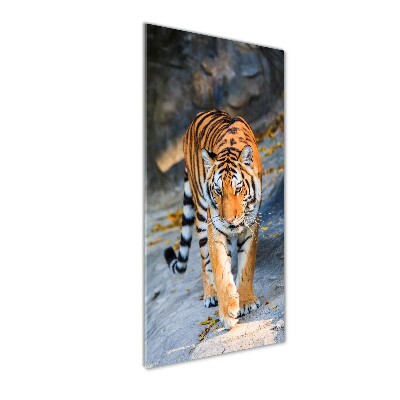 Tableau verre acrylique Tigre