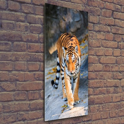 Tableau verre acrylique Tigre