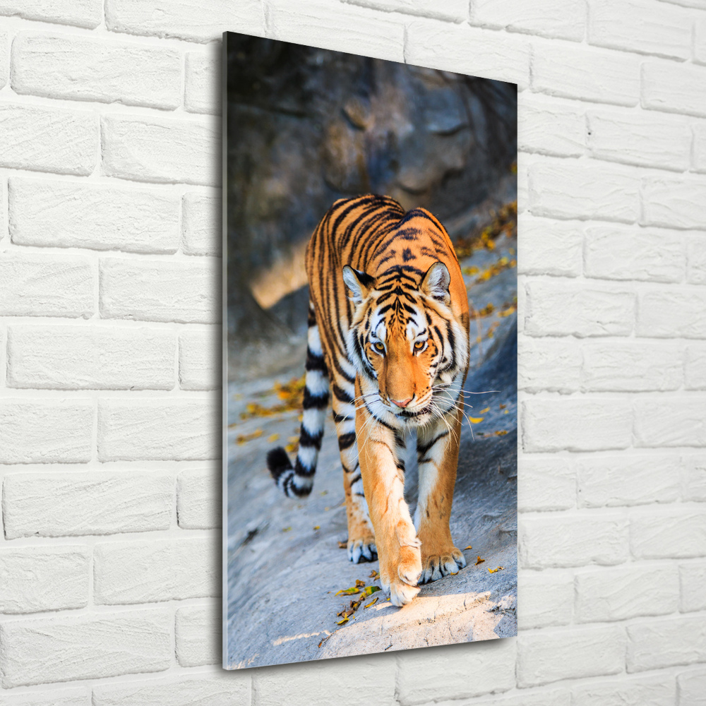 Tableau verre acrylique Tigre