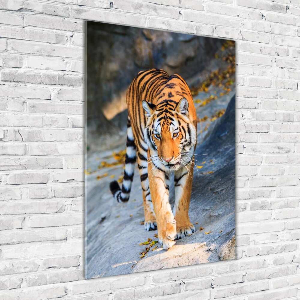 Tableau verre acrylique Tigre