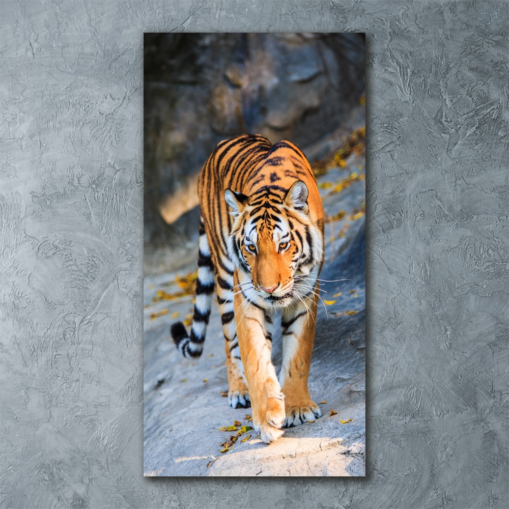 Tableau verre acrylique Tigre