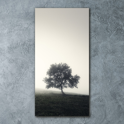 Tableau sur verre acrylique Arbre dans la brume