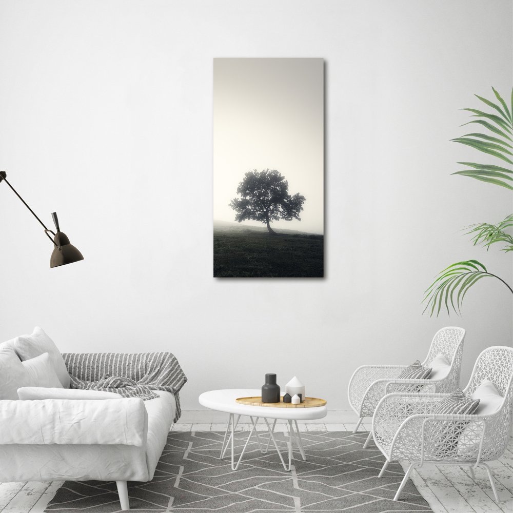 Tableau sur verre acrylique Arbre dans la brume