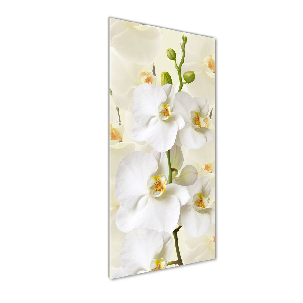 Tableau acrylique Orchidée blanche