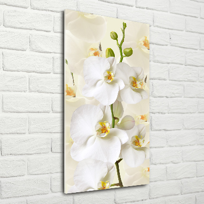 Tableau acrylique Orchidée blanche