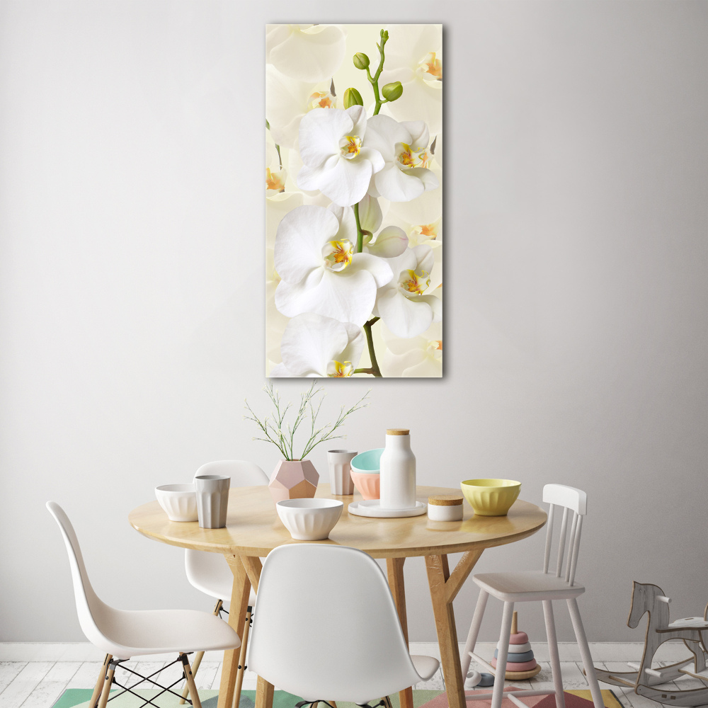 Tableau acrylique Orchidée blanche