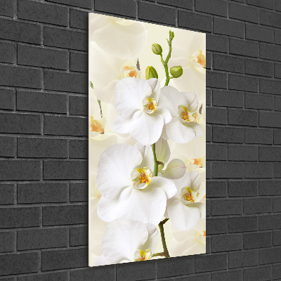 Tableau acrylique Orchidée blanche