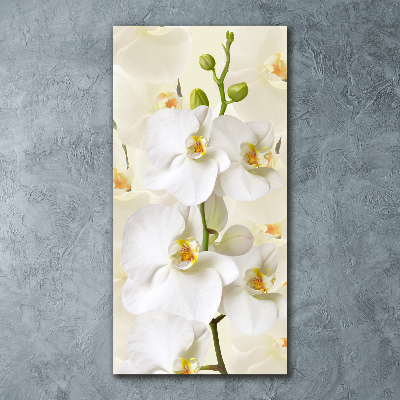 Tableau acrylique Orchidée blanche