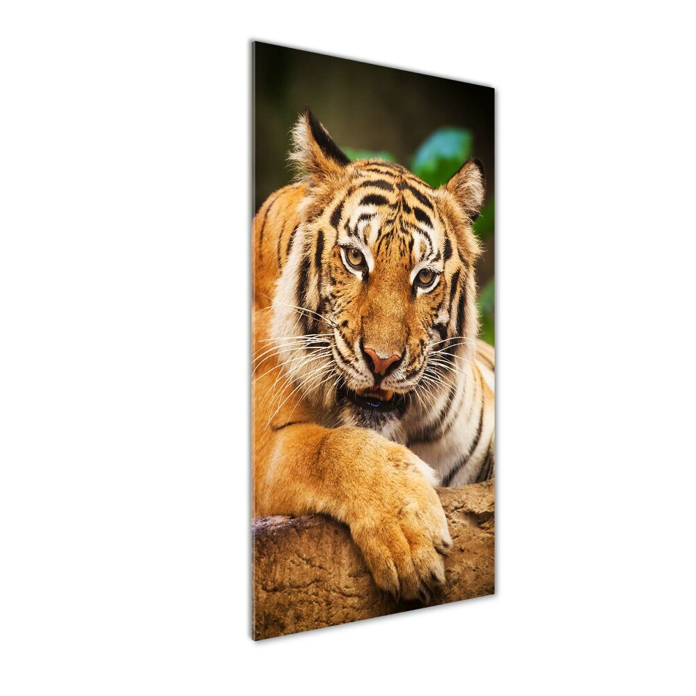 Tableau verre acrylique Tigre du Bengale