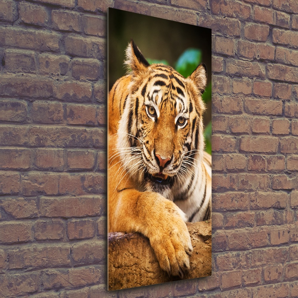 Tableau verre acrylique Tigre du Bengale