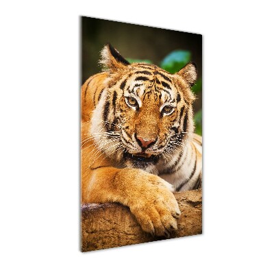 Tableau verre acrylique Tigre du Bengale