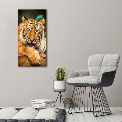 Tableau verre acrylique Tigre du Bengale