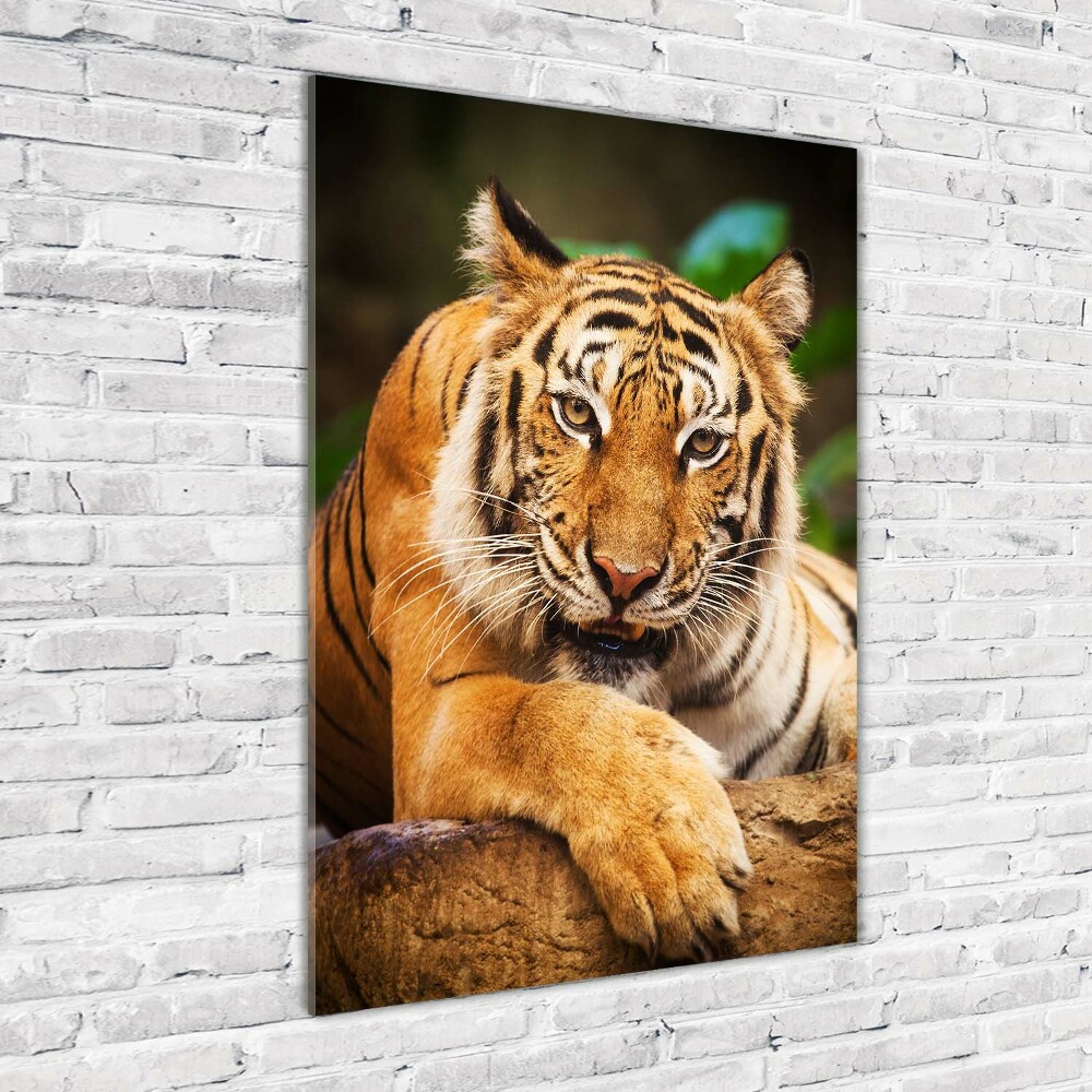 Tableau verre acrylique Tigre du Bengale