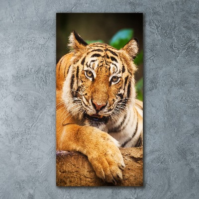 Tableau verre acrylique Tigre du Bengale