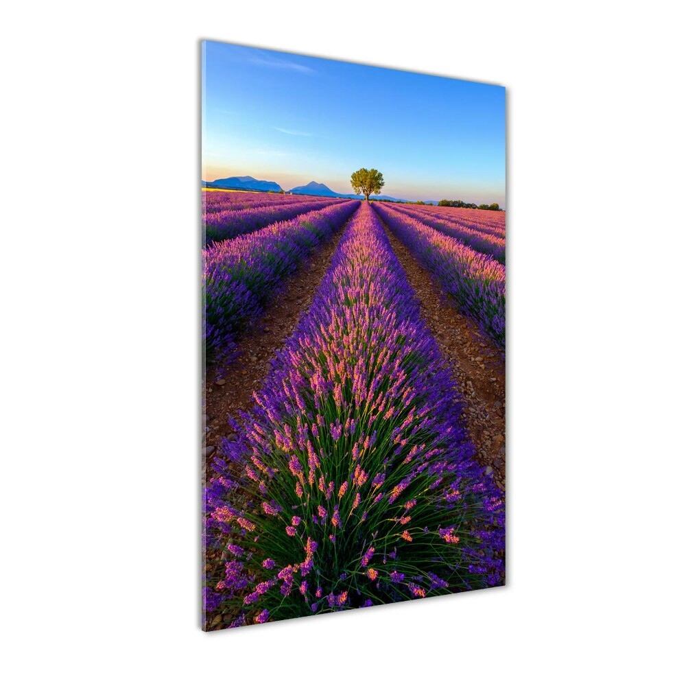 Tableau acrylique Fleurs violettes de lavande