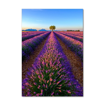 Tableau acrylique Fleurs violettes de lavande