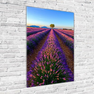 Tableau acrylique Fleurs violettes de lavande