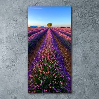 Tableau acrylique Fleurs violettes de lavande