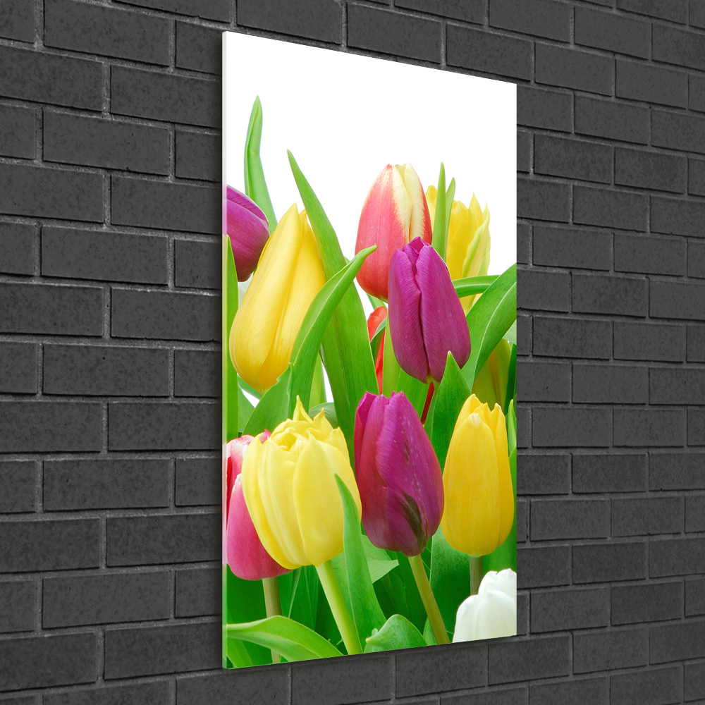 Acrylique tableau Tulipes colorées