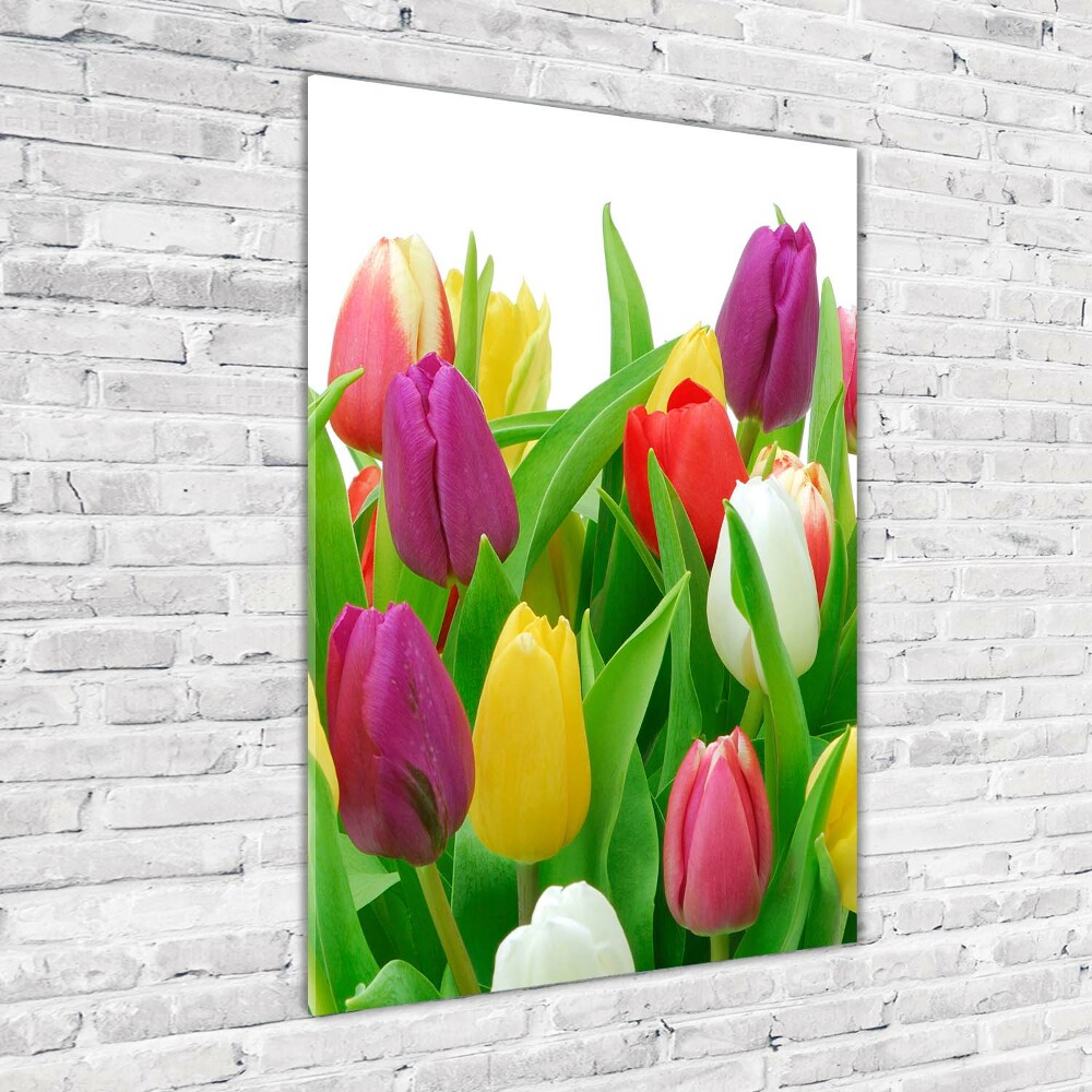 Acrylique tableau Tulipes colorées