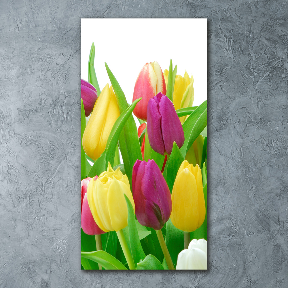 Acrylique tableau Tulipes colorées